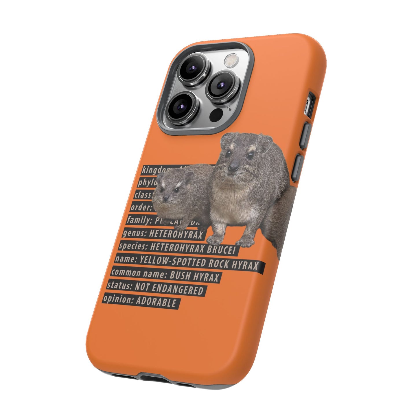 Hyrax Taxonomic Hierarchy Phone Cases