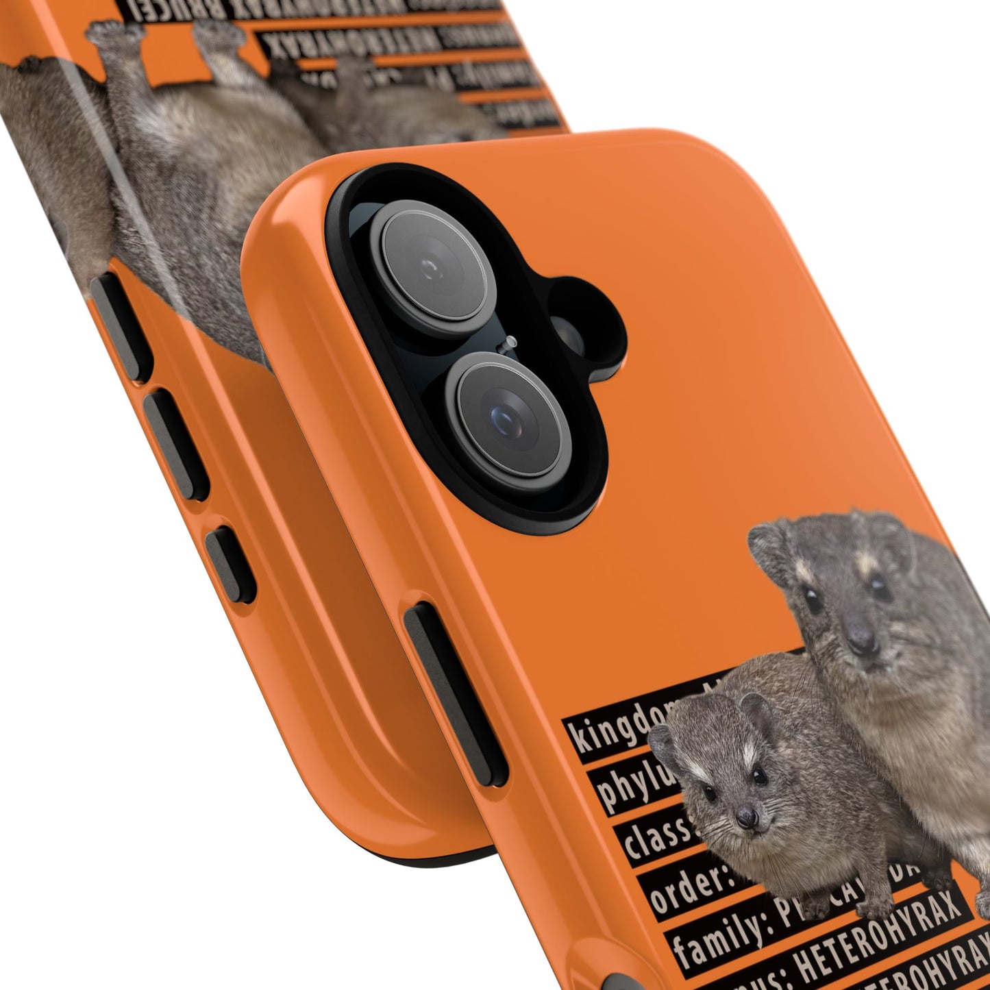 Hyrax Taxonomic Hierarchy Phone Cases