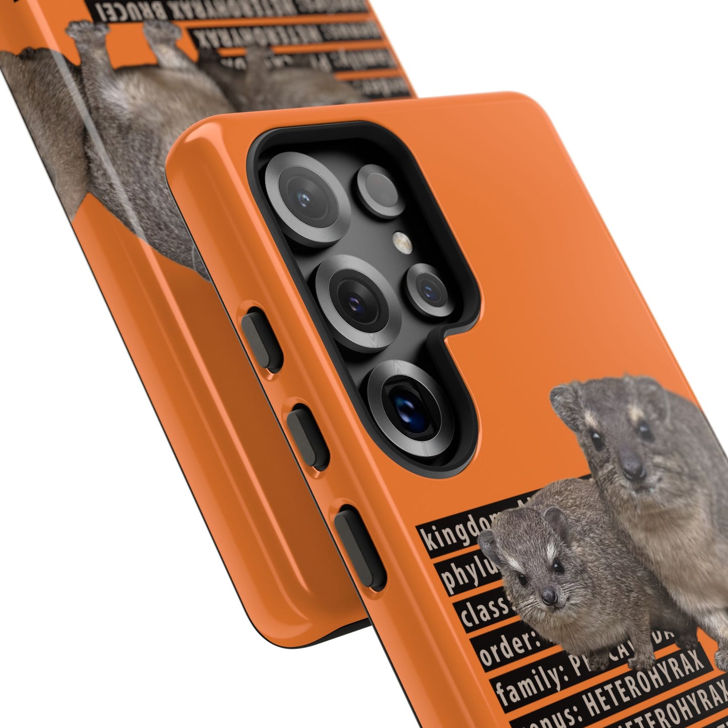 Hyrax Taxonomic Hierarchy Phone Cases