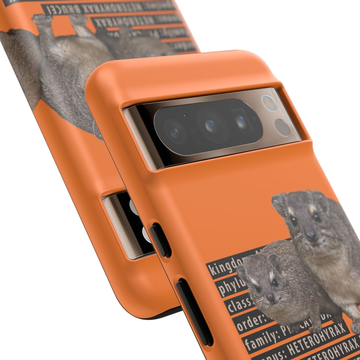 Hyrax Taxonomic Hierarchy Phone Cases