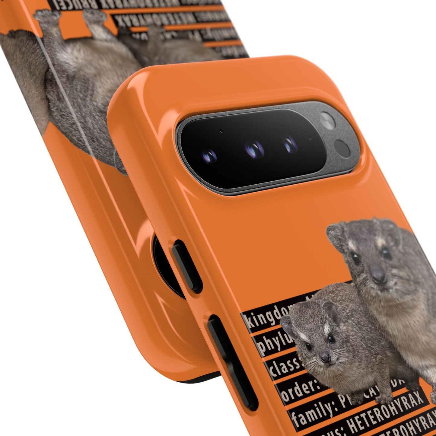 Hyrax Taxonomic Hierarchy Phone Cases