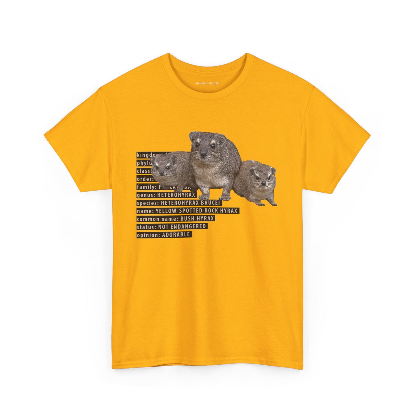 Hyrax Taxonomic Hierarchy - Unisex Heavy Cotton Tee - For The Distinguished Awawa Lover
