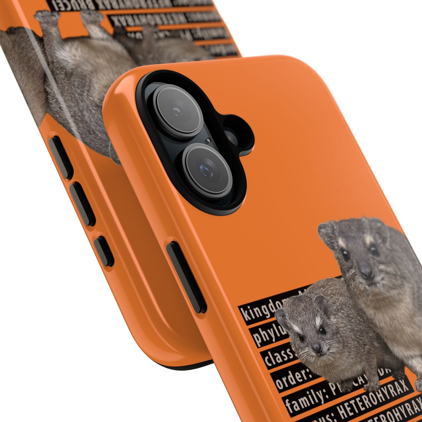 Hyrax Taxonomic Hierarchy Phone Cases
