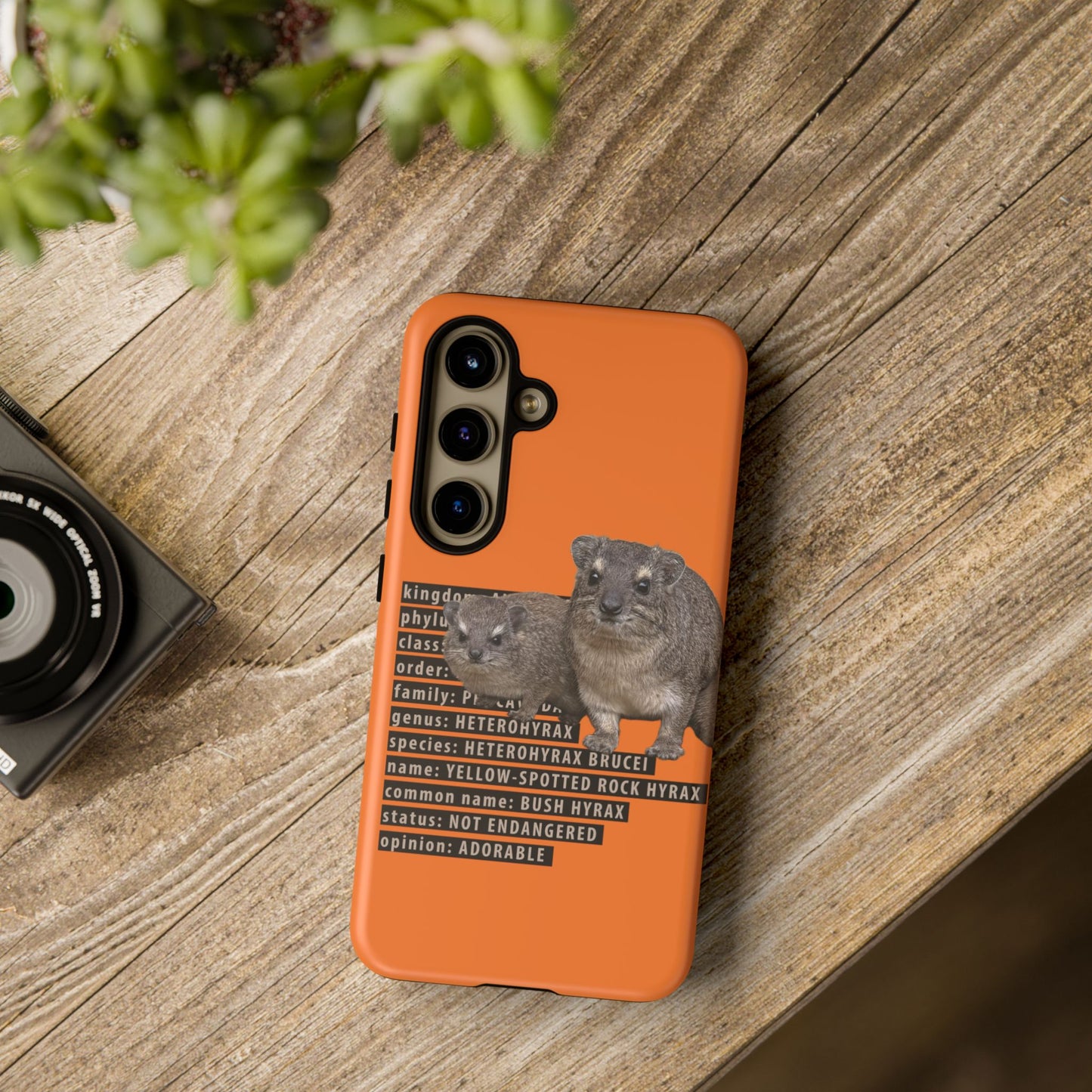 Hyrax Taxonomic Hierarchy Phone Cases
