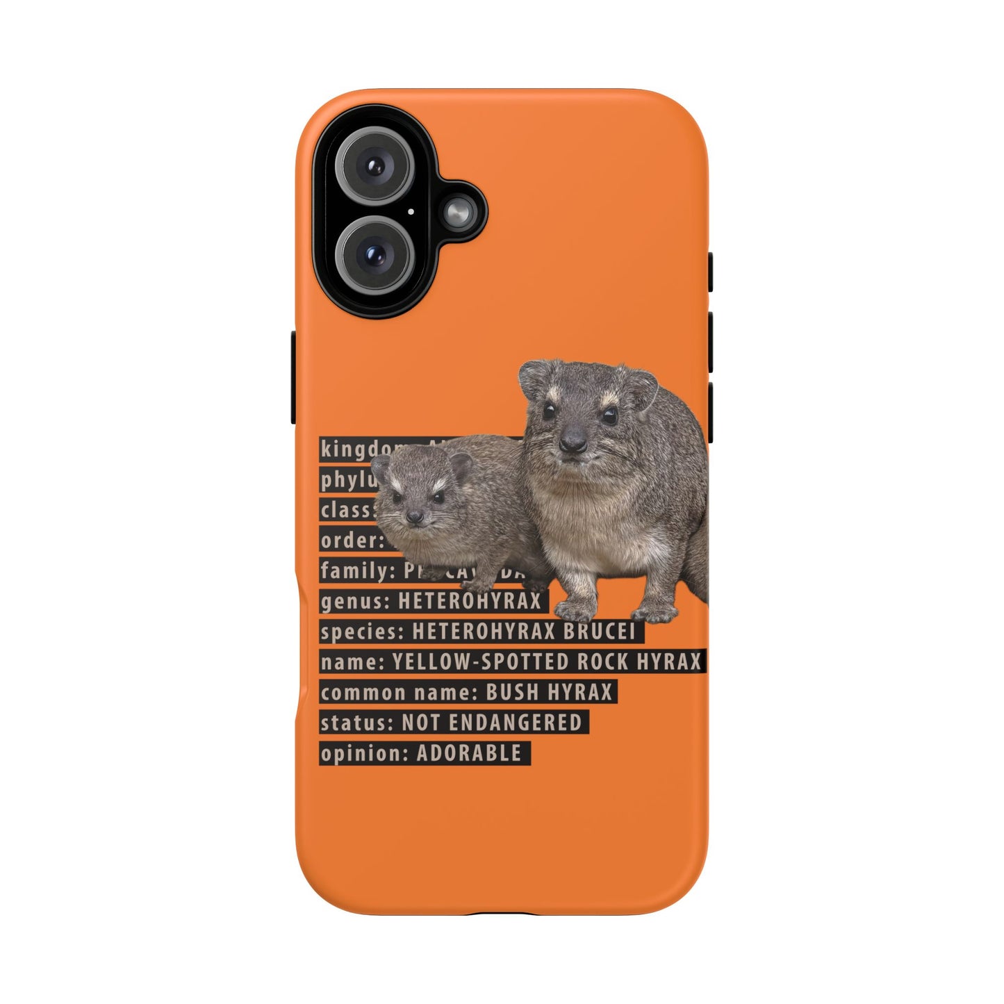 Hyrax Taxonomic Hierarchy Phone Cases