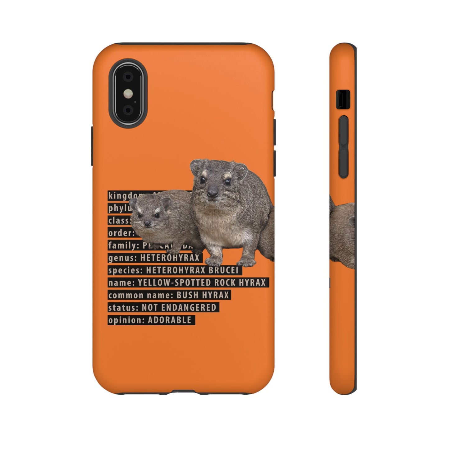 Hyrax Taxonomic Hierarchy Phone Cases