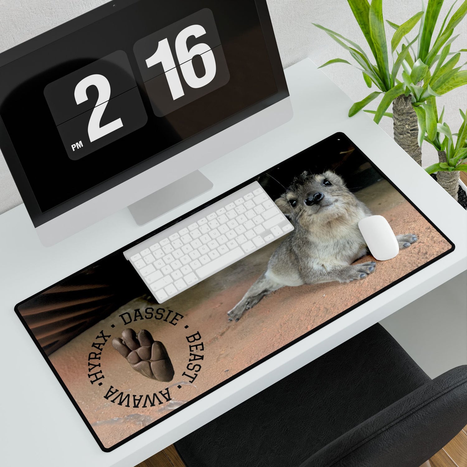 Home And Office