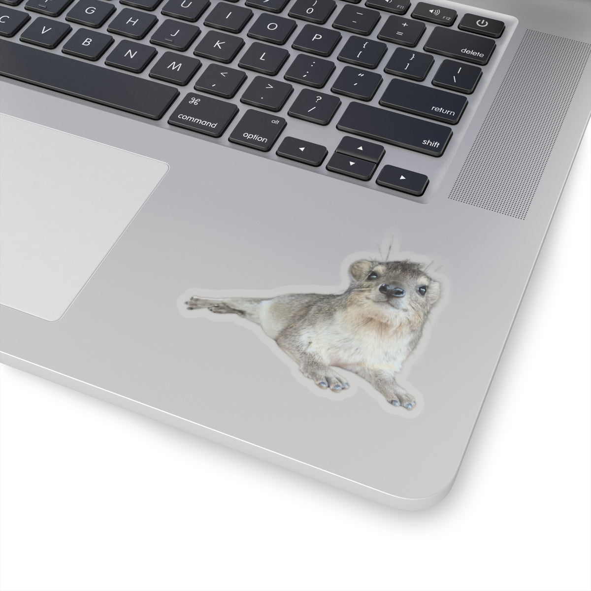 "Slick" The Hyrax Sticker