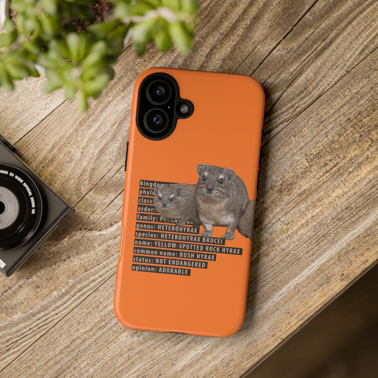 Hyrax Taxonomic Hierarchy Phone Case