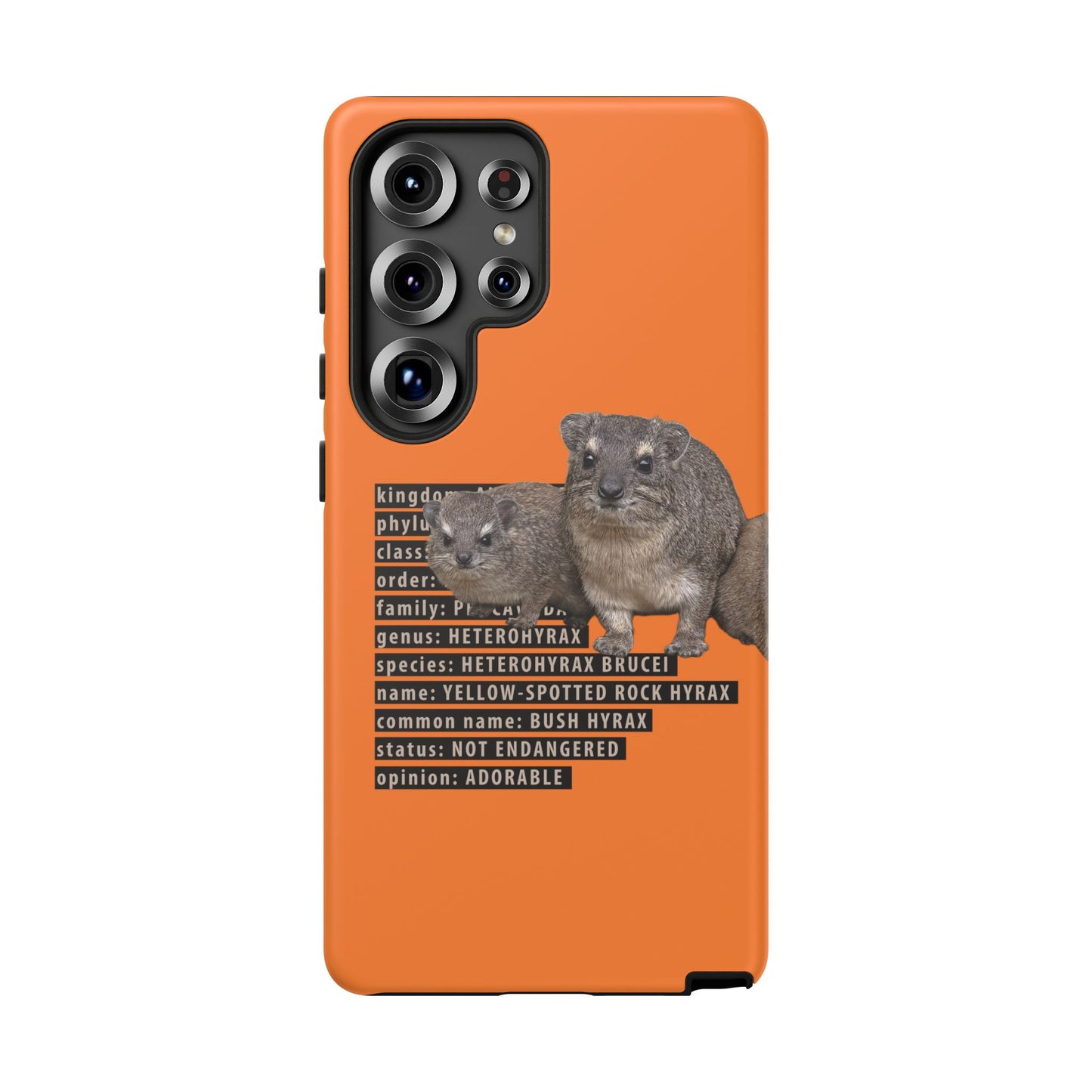 Hyrax Taxonomic Hierarchy Phone Case