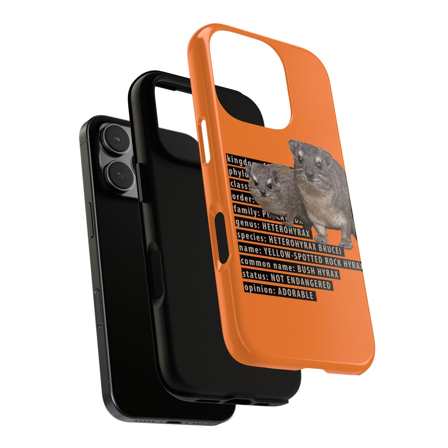 Hyrax Taxonomic Hierarchy Phone Cases