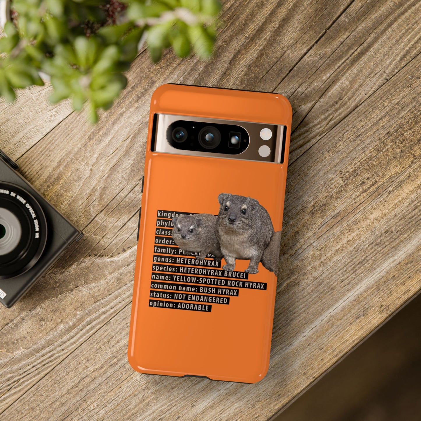 Hyrax Taxonomic Hierarchy Phone Case