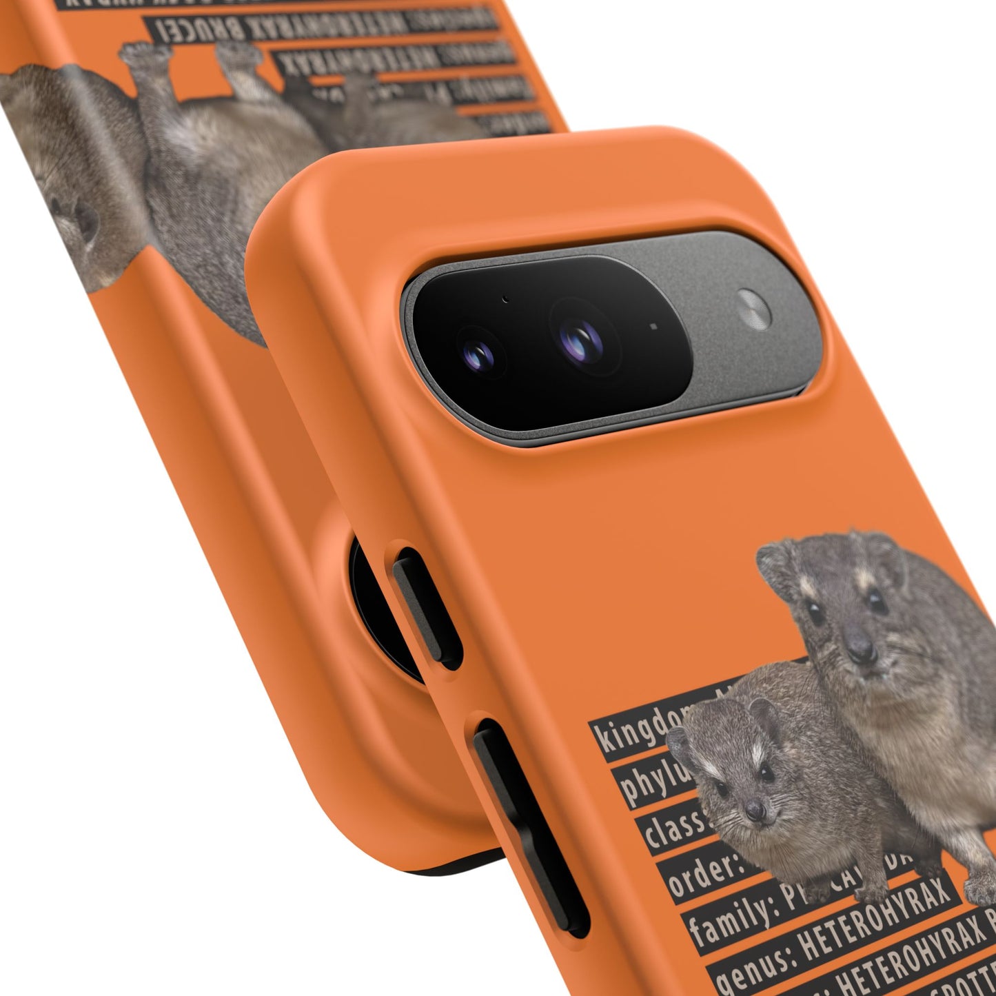 Hyrax Taxonomic Hierarchy Phone Case