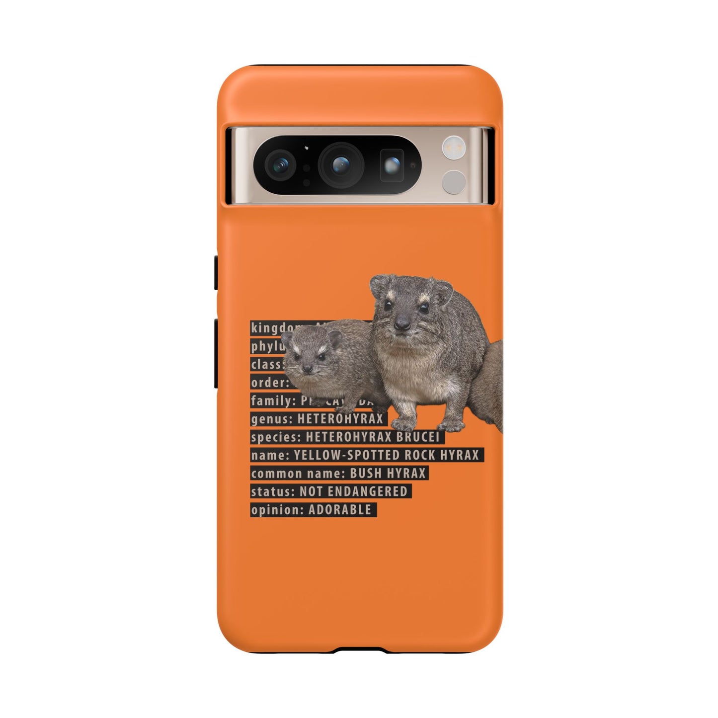 Hyrax Taxonomic Hierarchy Phone Case