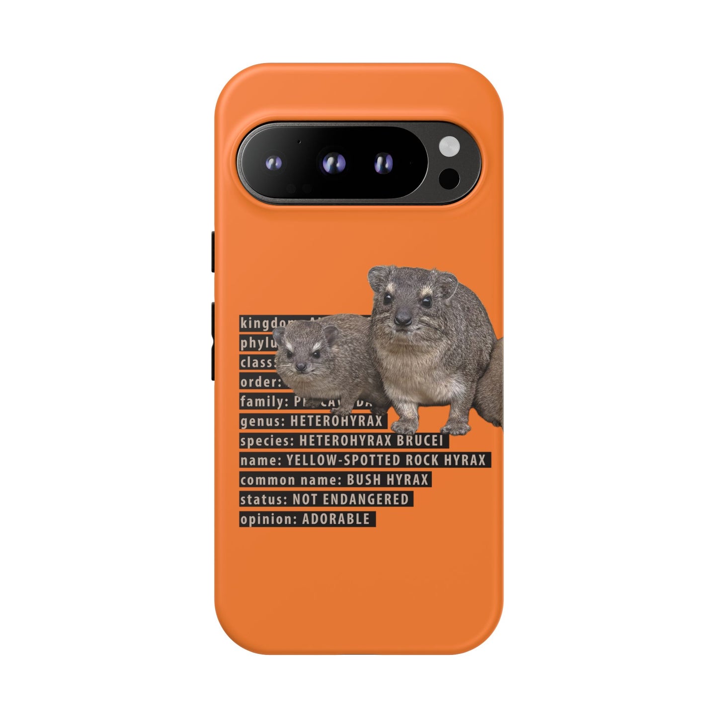 Hyrax Taxonomic Hierarchy Phone Case
