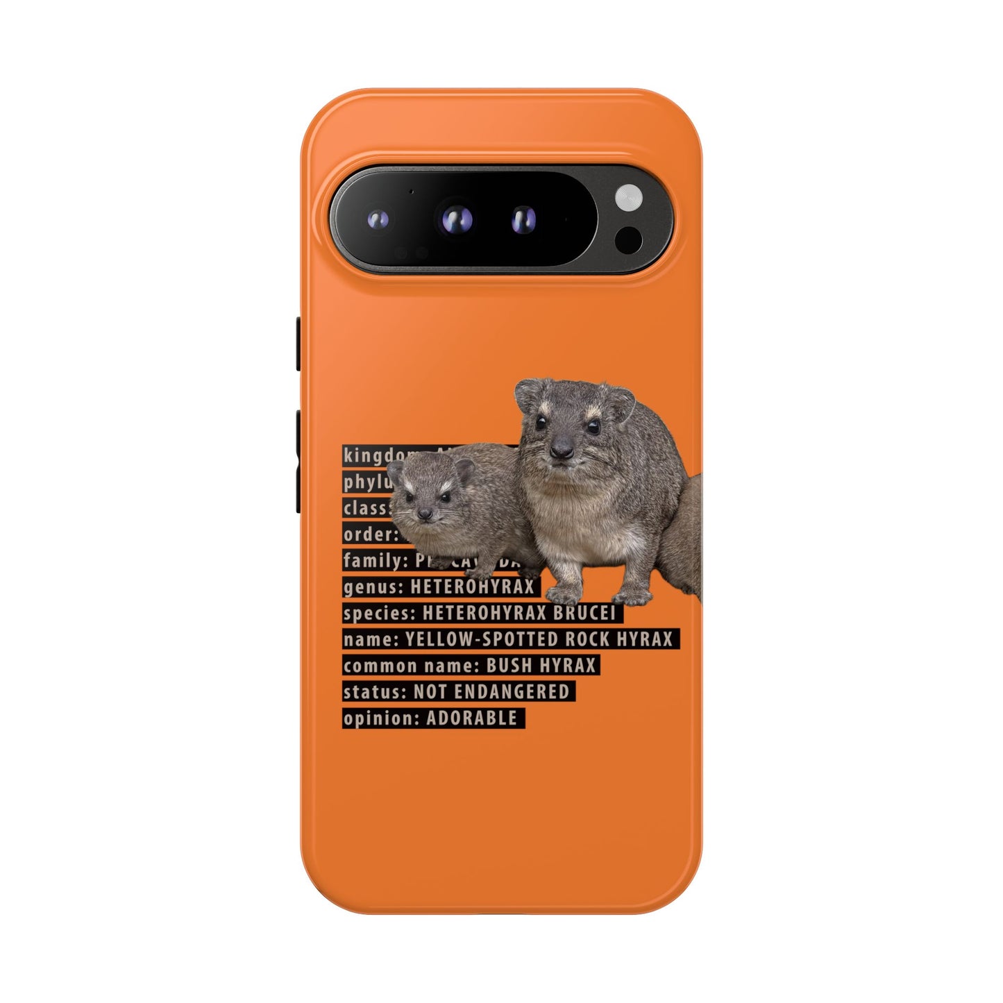 Hyrax Taxonomic Hierarchy Phone Case