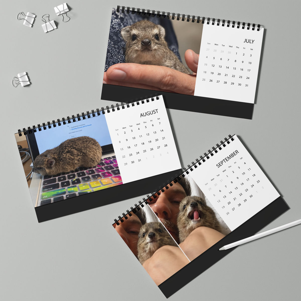 2027 Desktop Calendar - Cute Baby Hyrax Desk Grid Calendar