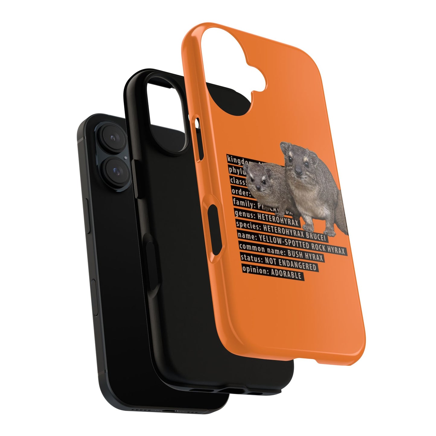 Hyrax Taxonomic Hierarchy Phone Case