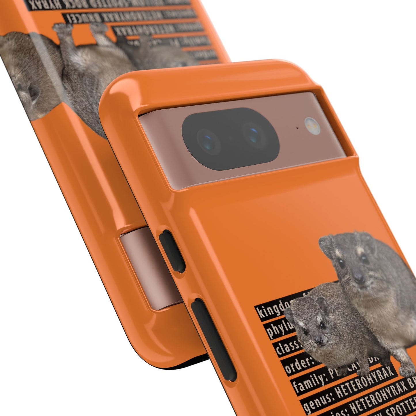 Hyrax Taxonomic Hierarchy Phone Case