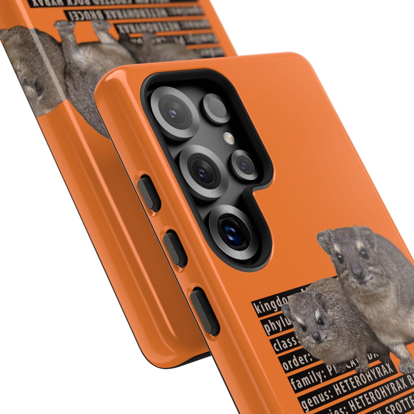 Hyrax Taxonomic Hierarchy Phone Case