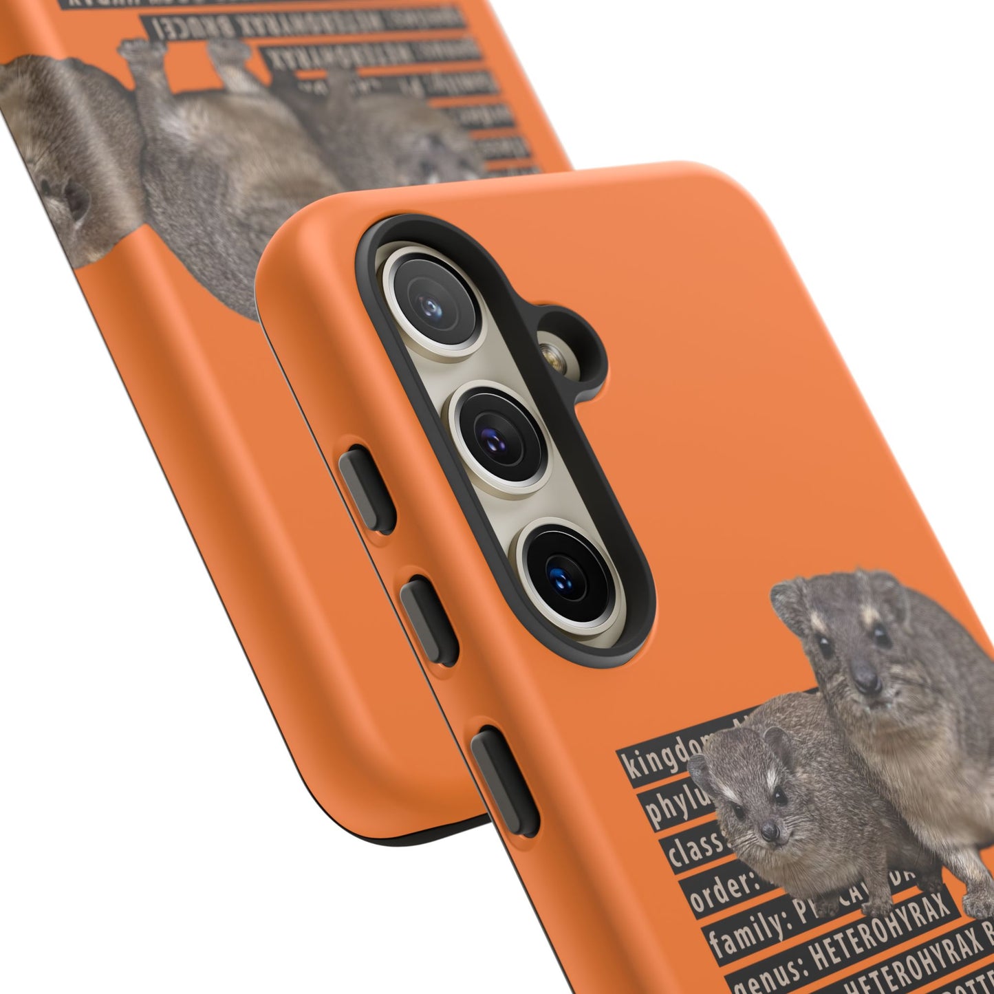 Hyrax Taxonomic Hierarchy Phone Case