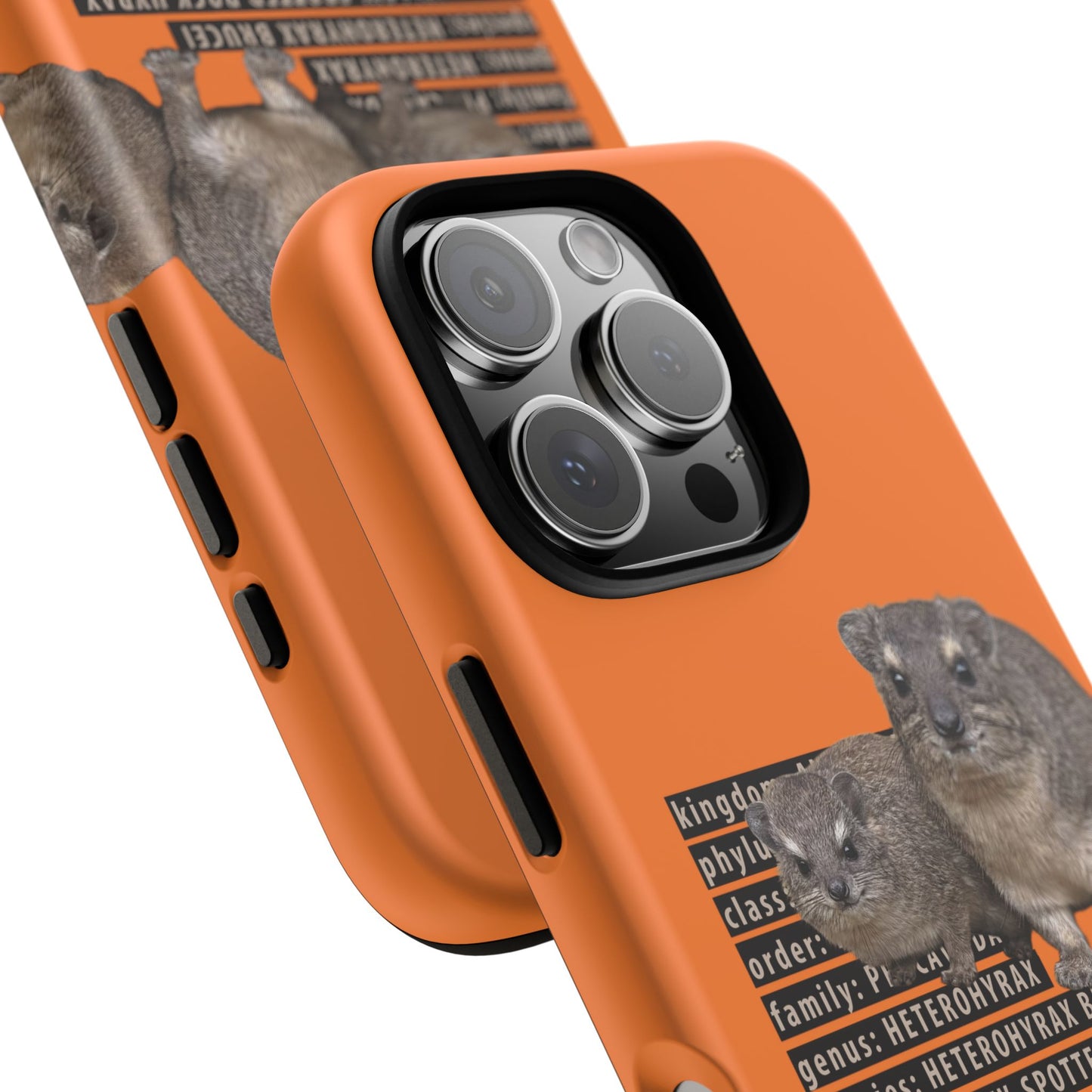 Hyrax Taxonomic Hierarchy Phone Case