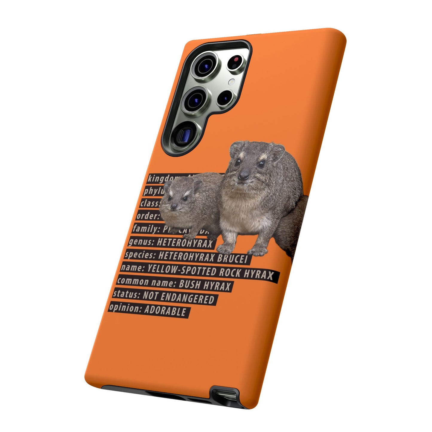 Hyrax Taxonomic Hierarchy Phone Cases