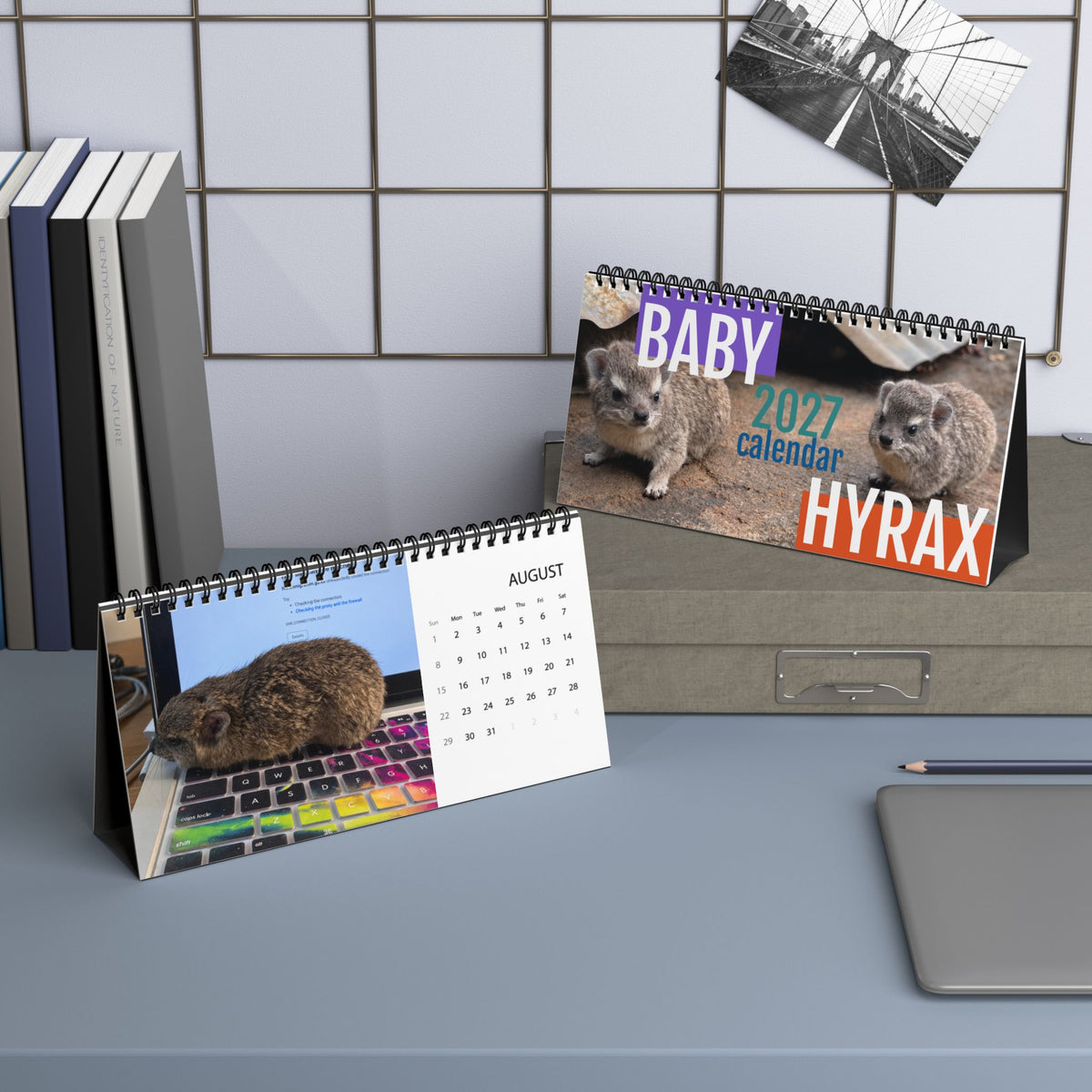 2027 Desktop Calendar - Cute Baby Hyrax Desk Grid Calendar