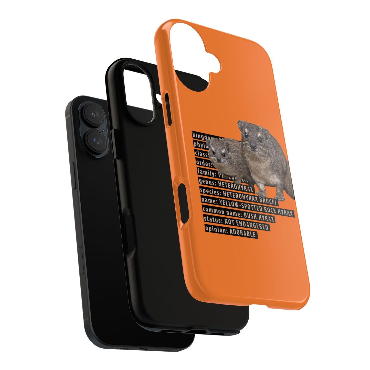 Hyrax Taxonomic Hierarchy Phone Case