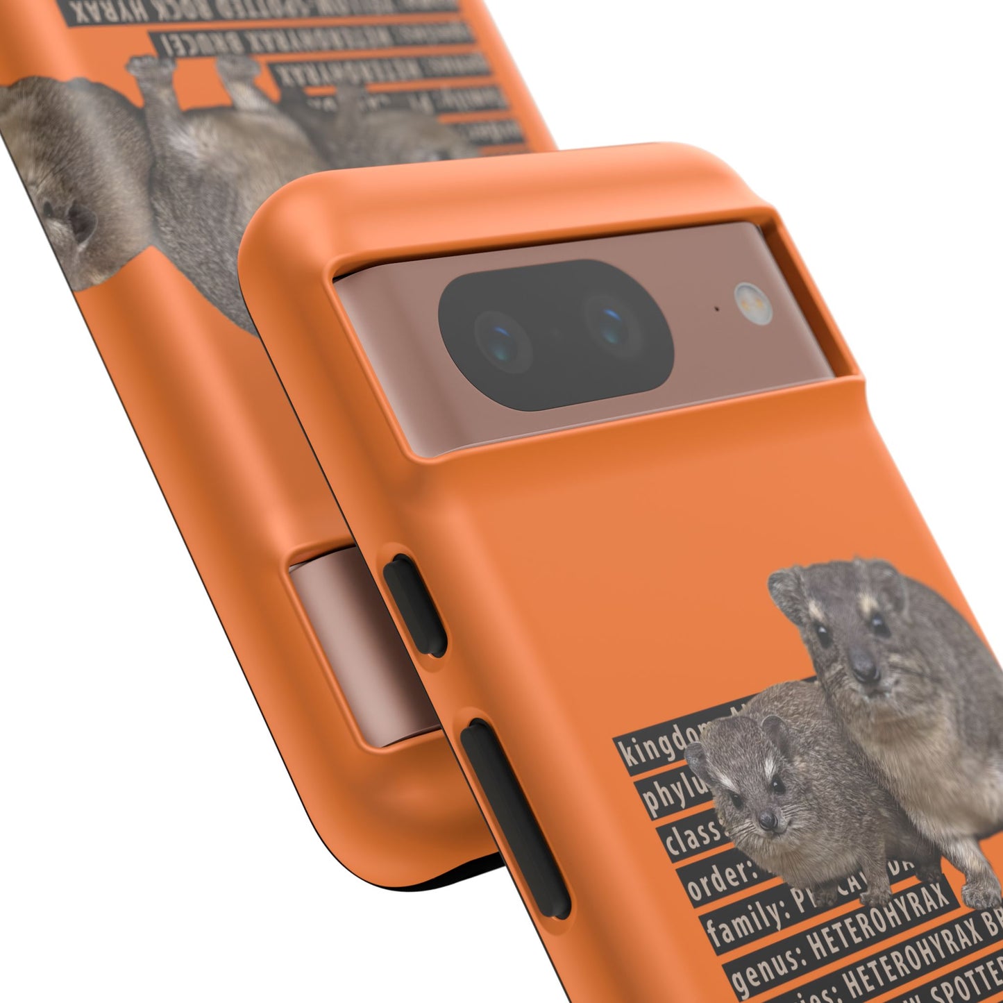 Hyrax Taxonomic Hierarchy Phone Case