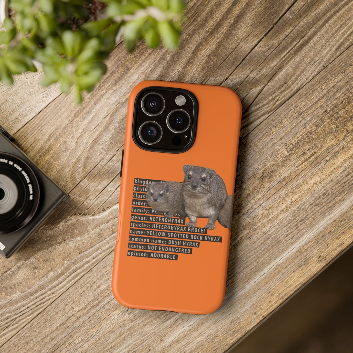 Hyrax Taxonomic Hierarchy Phone Case