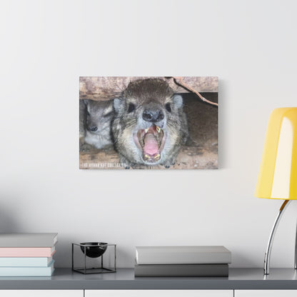 Hyrax Scream Print Wall Art, Matte Canvas Photo, Awawa Extreme, Unique Home Decor, Nature Lover Gift with animal photography, Wall Art for Animal Enthusiasts, Perfect for [...]