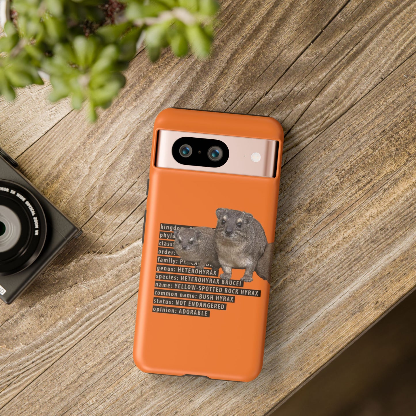 Hyrax Taxonomic Hierarchy Phone Case