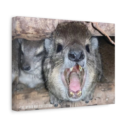 Hyrax Scream Print Wall Art, Matte Canvas Photo, Awawa Extreme, Unique Home Decor, Nature Lover Gift with animal photography, Wall Art for Animal Enthusiasts, Perfect for [...]