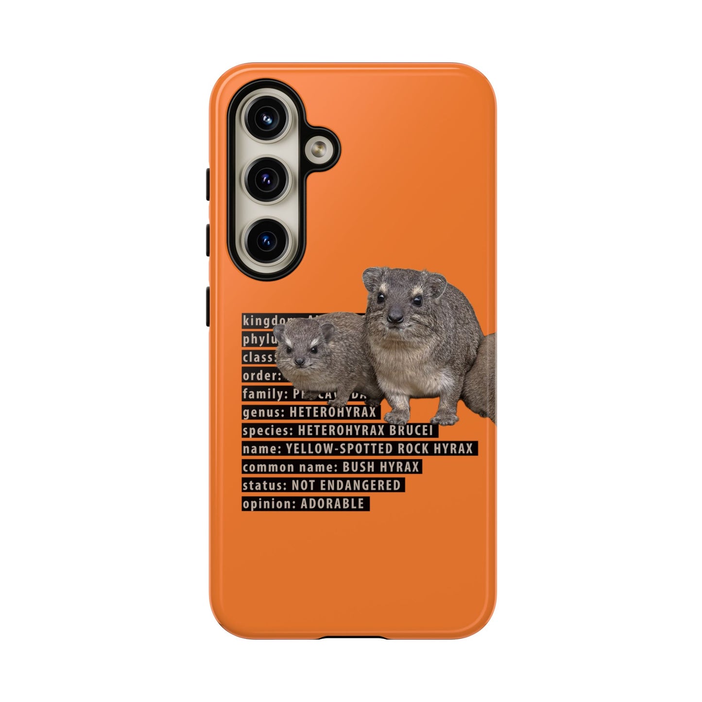 Hyrax Taxonomic Hierarchy Phone Case