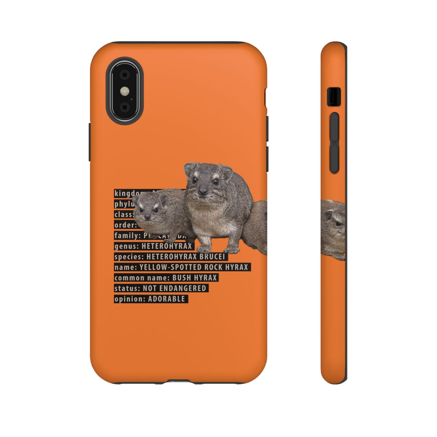 Hyrax Taxonomic Hierarchy Phone Case