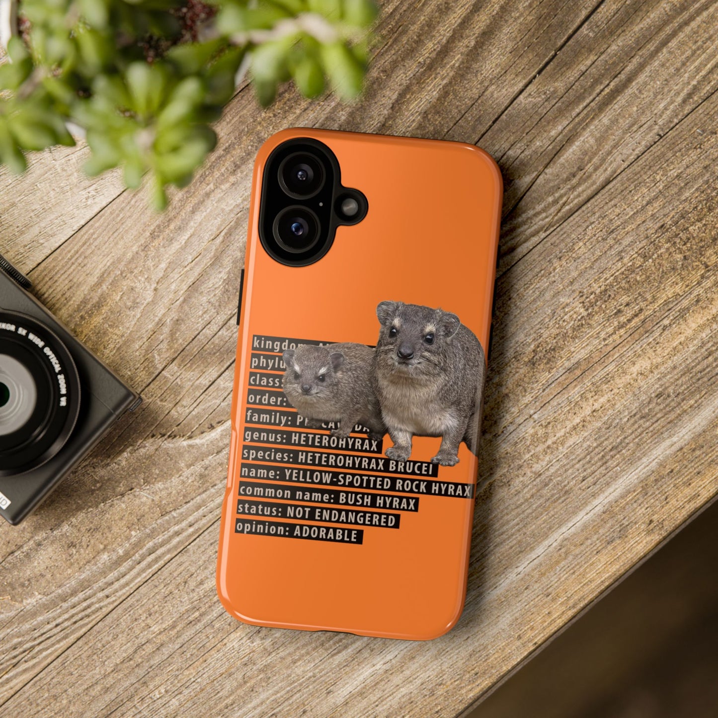 Hyrax Taxonomic Hierarchy Phone Cases