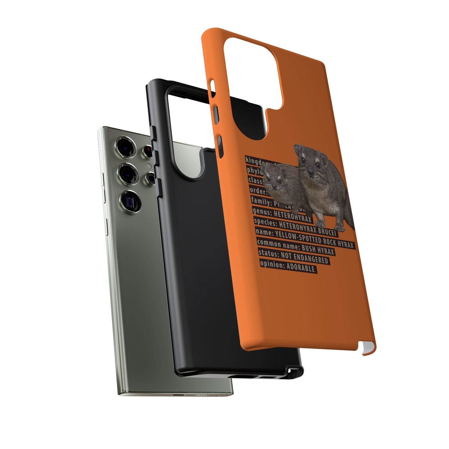 Hyrax Taxonomic Hierarchy Phone Case