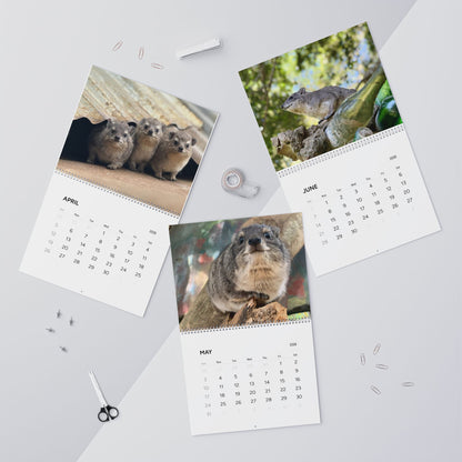 Premium Hyrax Wall Calendar 2026 – Cute Bush Hyrax Monthly Awawall Calendar