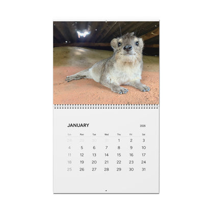 Premium Hyrax Wall Calendar 2026 – Cute Bush Hyrax Monthly Awawall Calendar