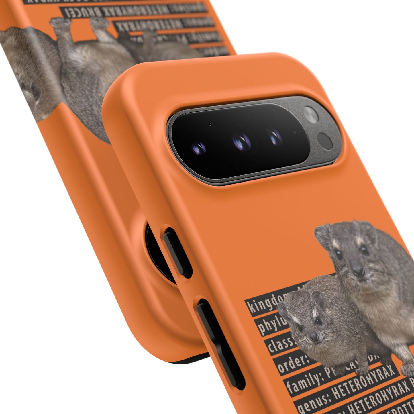 Hyrax Taxonomic Hierarchy Phone Case