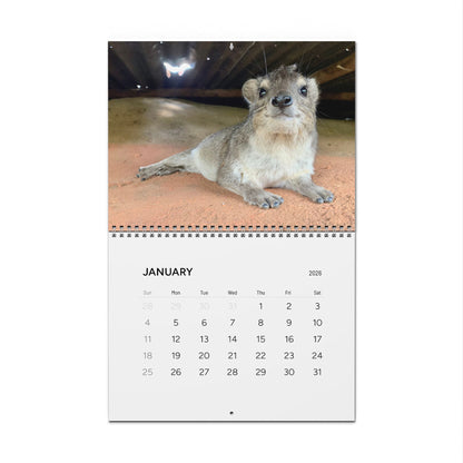 Hyrax Wall Calendar 2026 – Cute Bush Hyrax Monthly Wall Calendar
