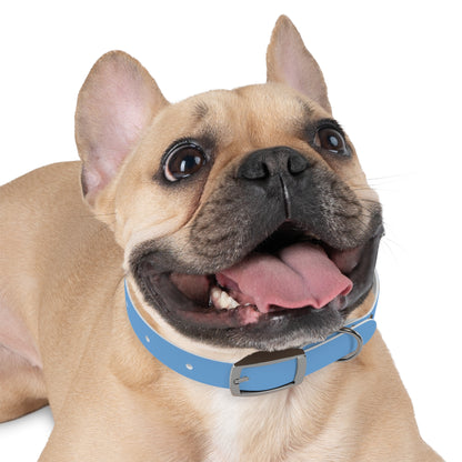 My Other Dog Is A Hyrax - Pet Collar