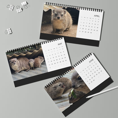 Baby Hyrax 2026 Desktop Calendar — Cute Wawa Photos