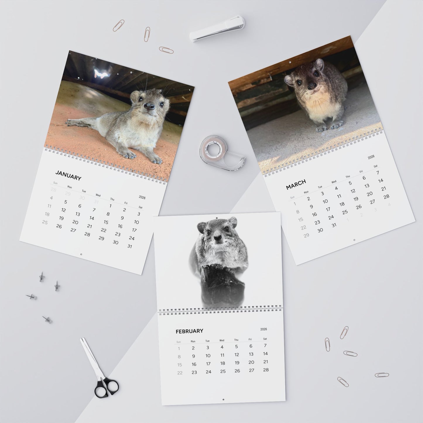 Hyrax Wall Calendar 2026 – Cute Bush Hyrax Monthly Wall Calendar