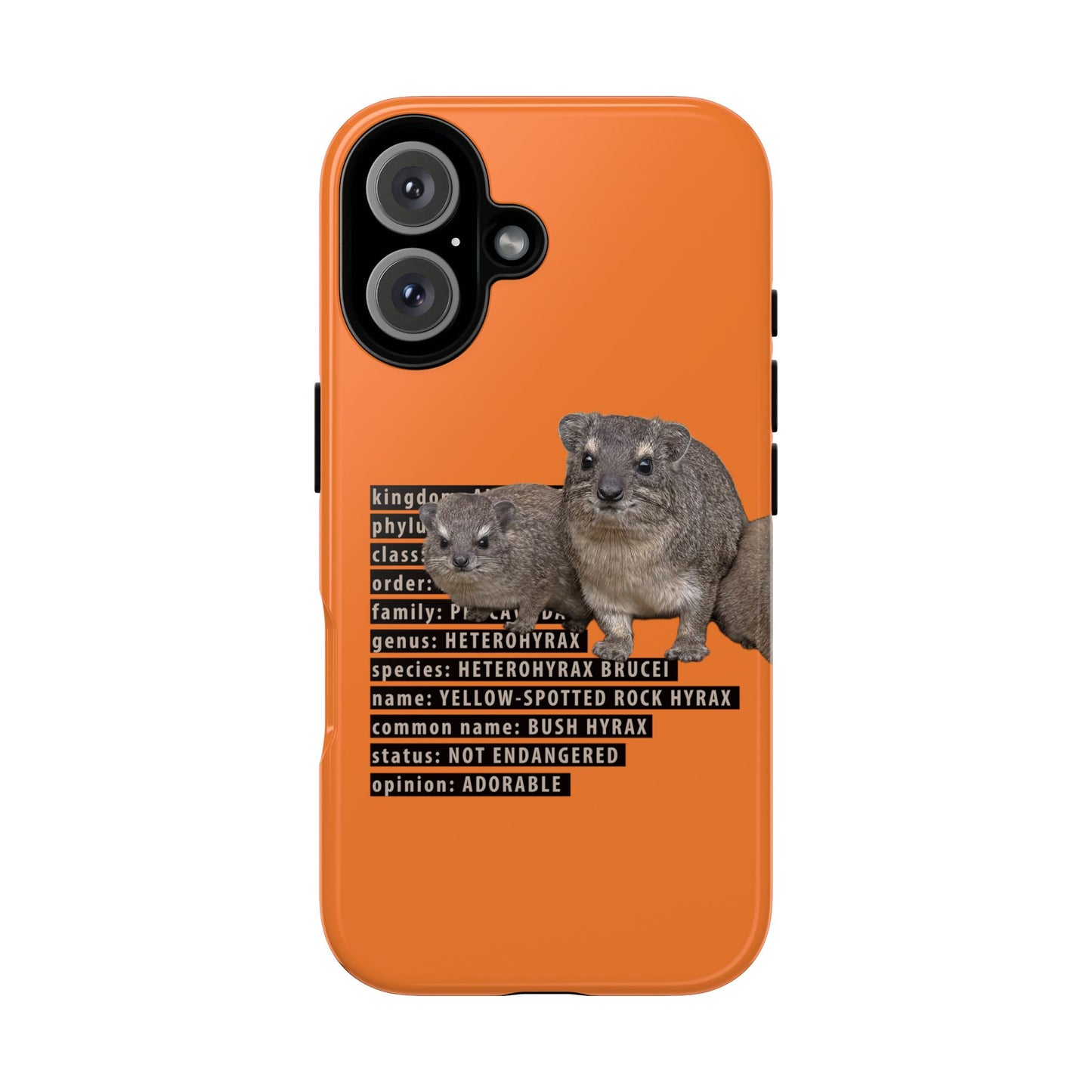 Hyrax Taxonomic Hierarchy Phone Case