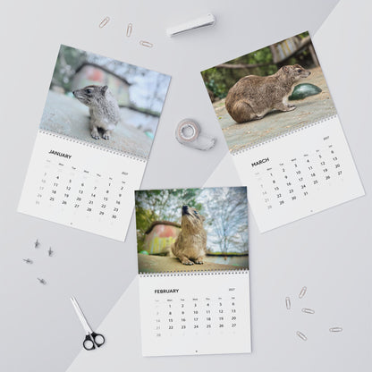 2027 Premium Wall Calendar – Adorable Hyrax Wildlife Photography