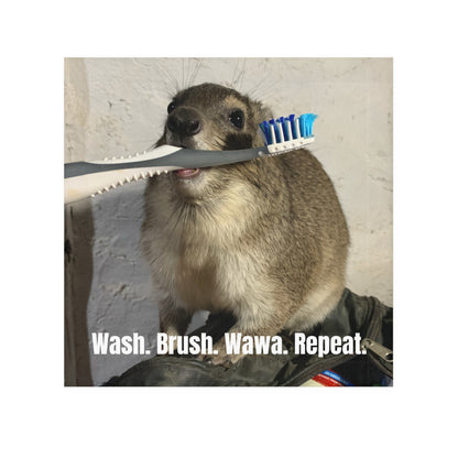 Hyrax Face Towel — Squiggy Bathroom Hand Towel