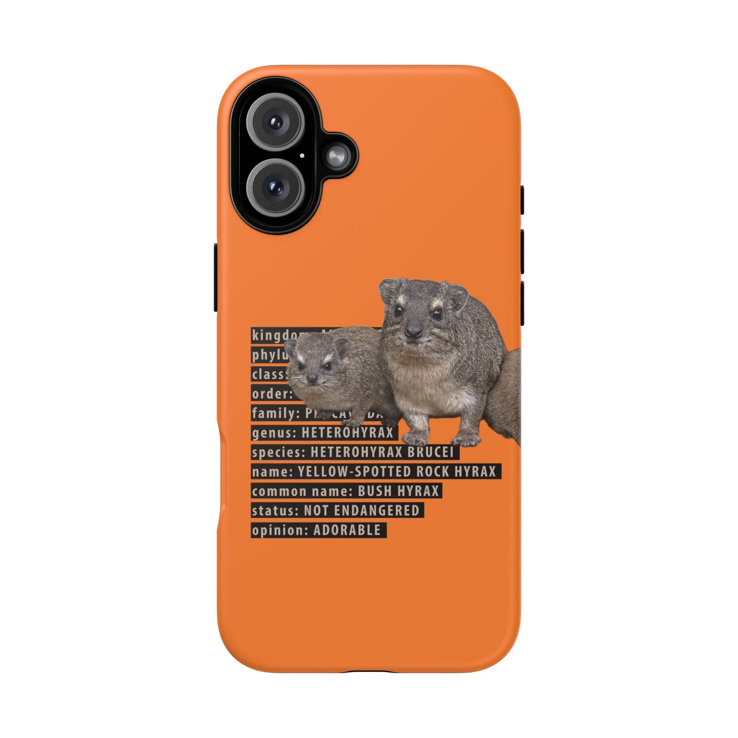 Hyrax Taxonomic Hierarchy Phone Case