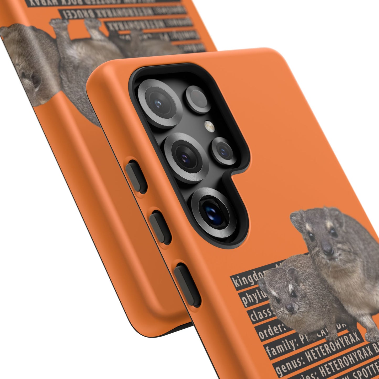Hyrax Taxonomic Hierarchy Phone Case